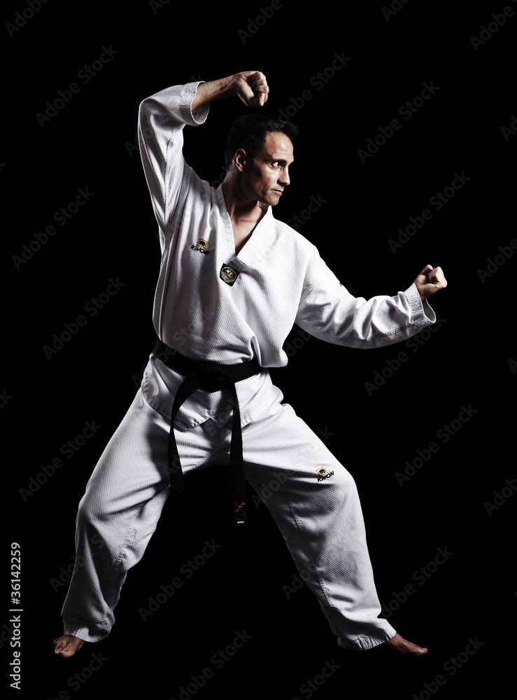 Fototapeta premium Taekwondo, Doppelfaust, vor schwarz