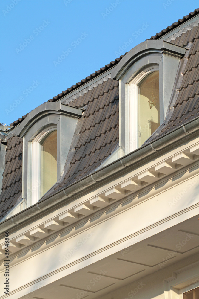 Obraz premium Segmentbogengaube