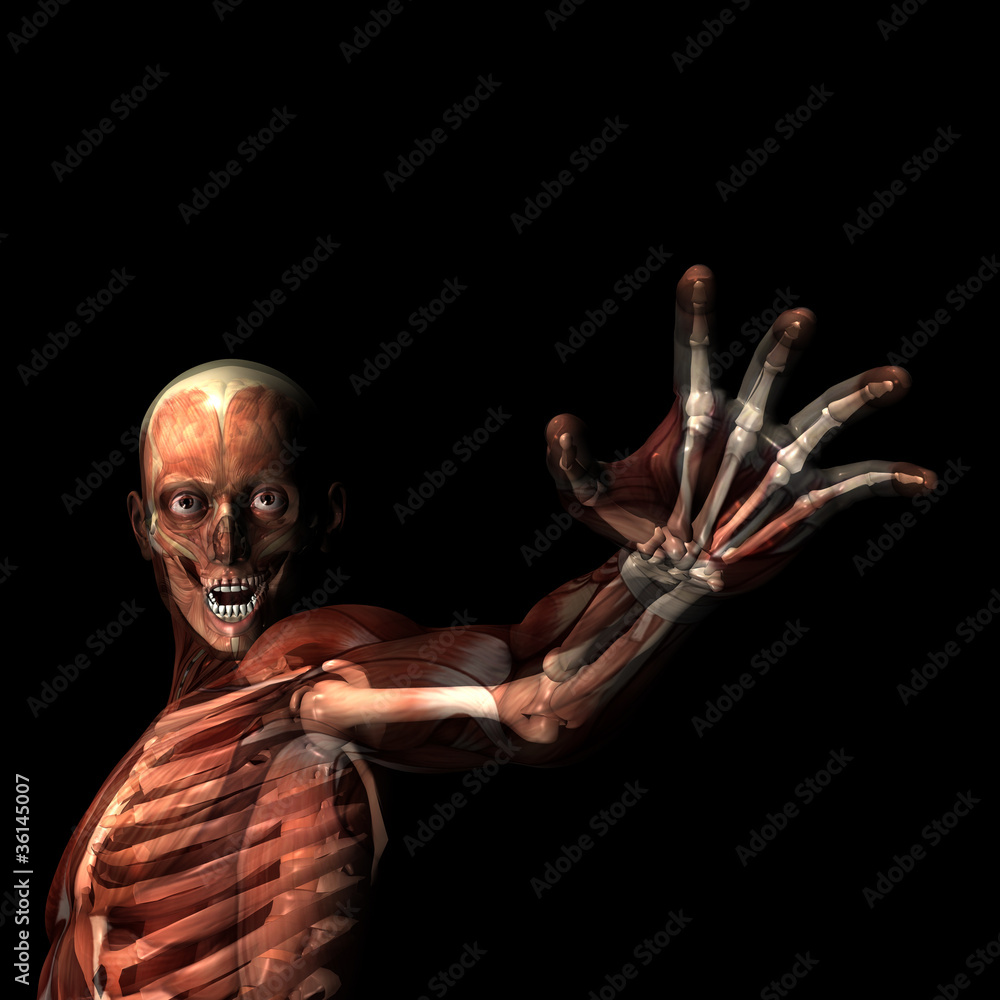 Fototapeta premium Reach Out