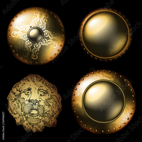 shields ancient with lion