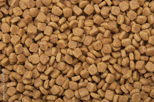 Dry pets food background