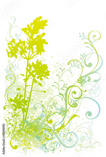 植物イラスト