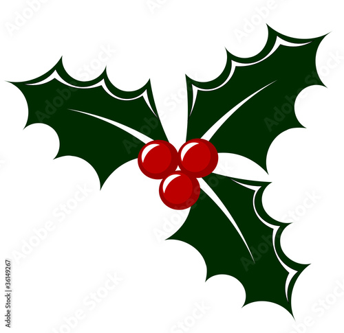 Holly berry icon
