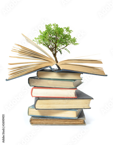 Tree growing from book
