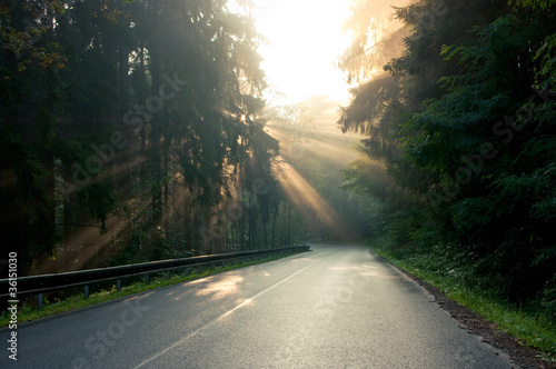 Sunbeams over the road