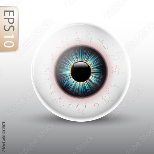 Eyeball Illustration