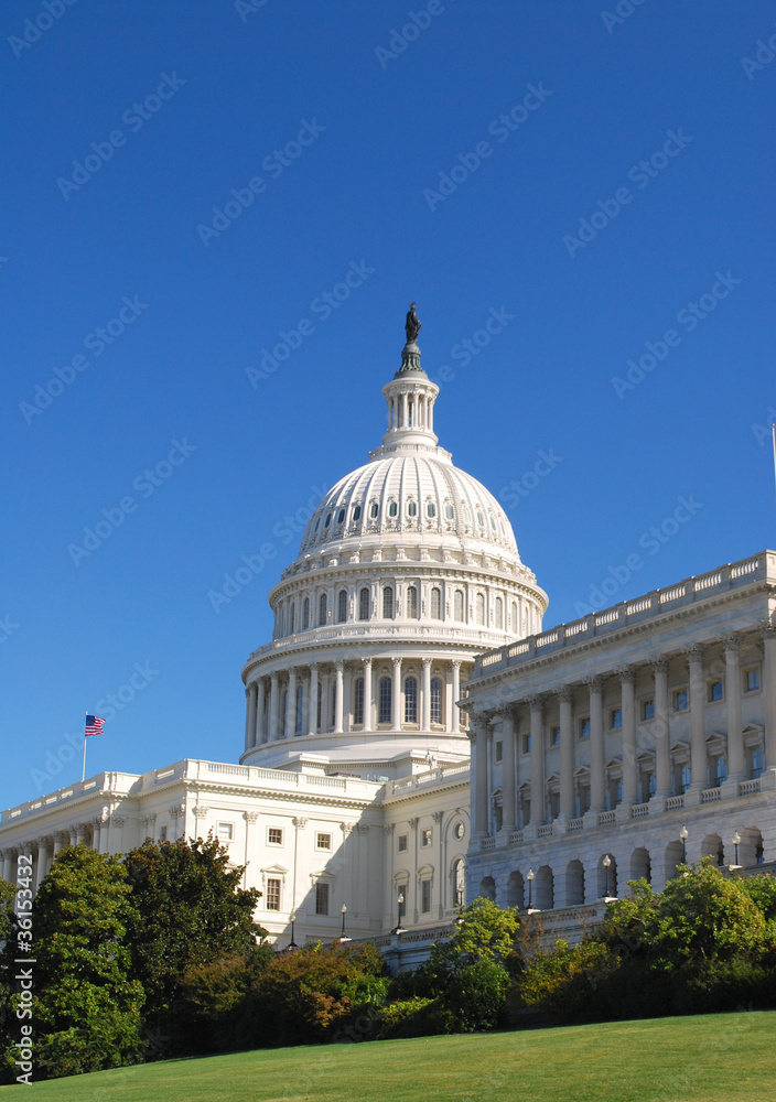 Obraz premium US Capitol