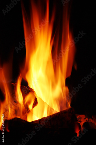 Image of campfire © strixcode