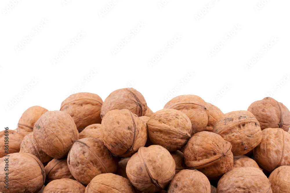 Walnut Walnut