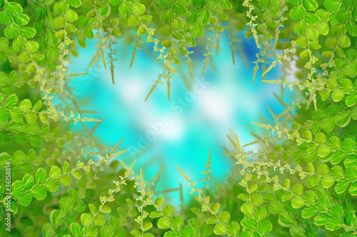 Green leaves for background