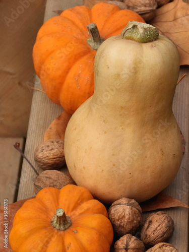butternut et petites coloquintes