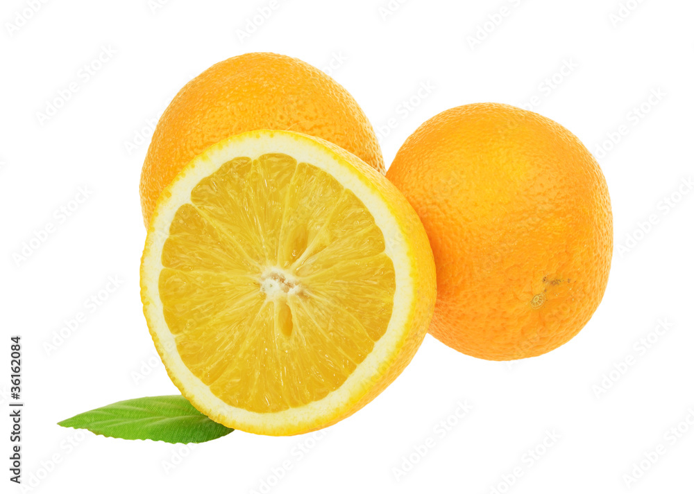 Oranges isolated