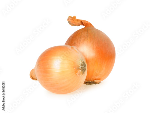 Onion isolated