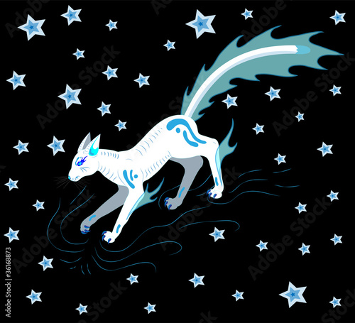 Star cat