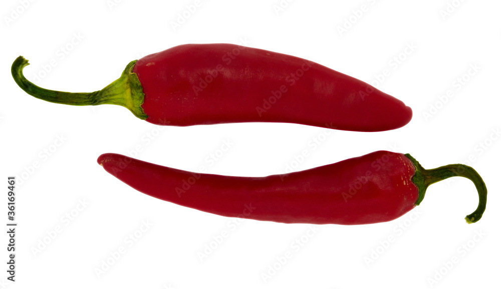 Chili pepper red