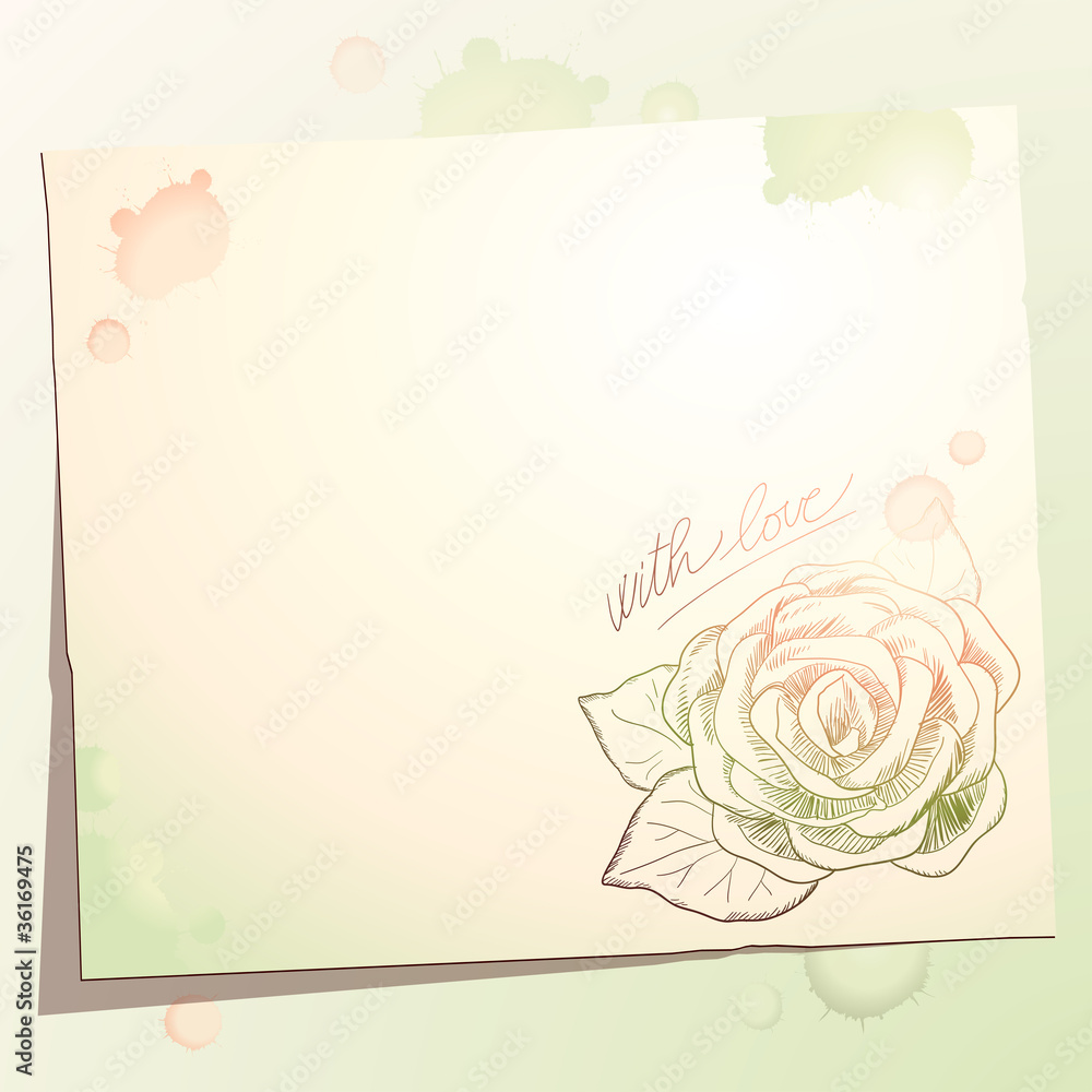 Vintage background with rose