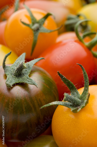 Bunte Tomatensorten