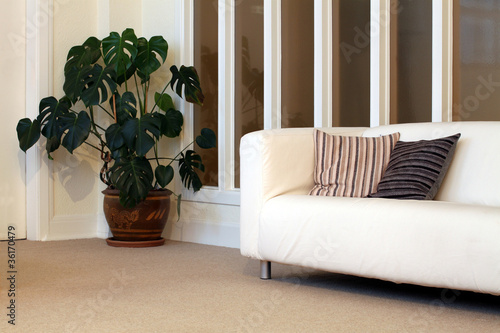 Bright, Fresh and Contemporary Waiting Room or Living Room