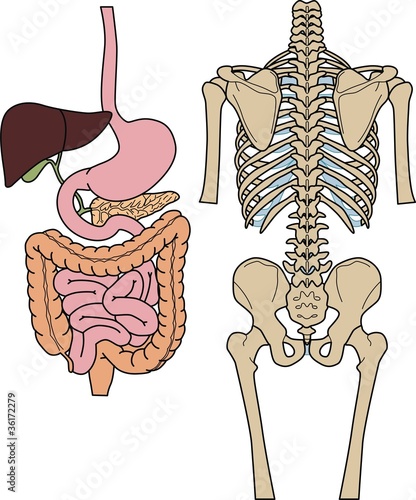 Internal of the person