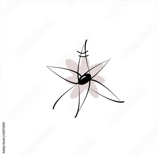 abstract flower