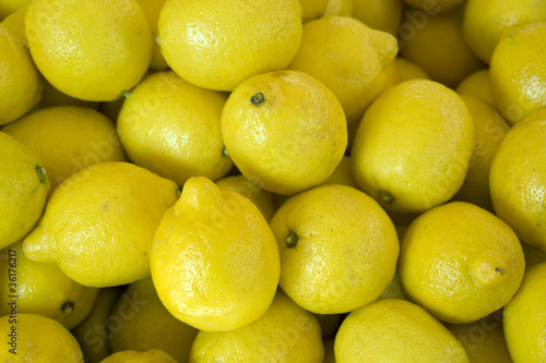 full frame citron background