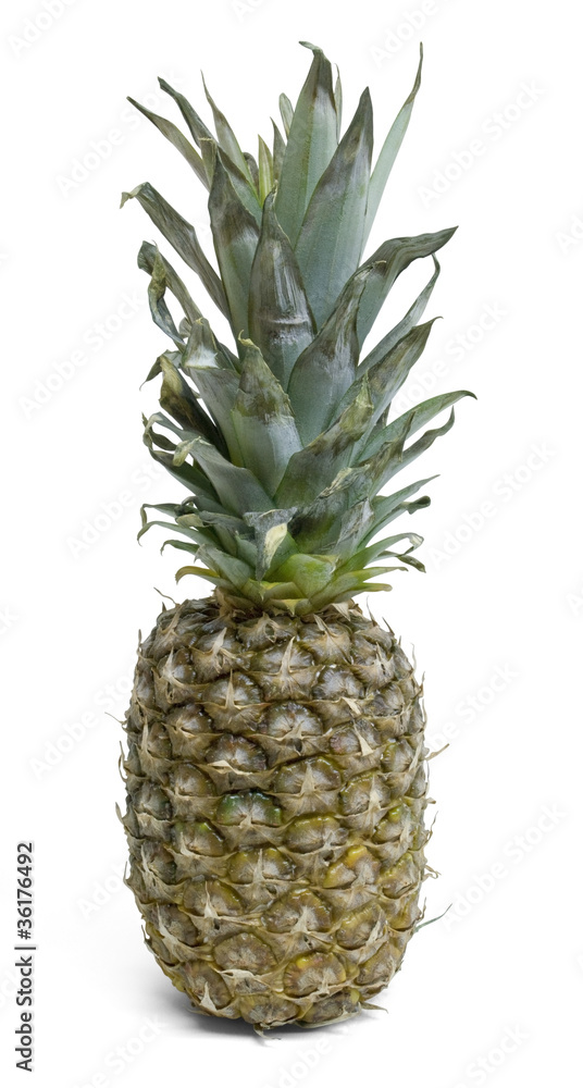 Fototapeta premium pineapple fruit