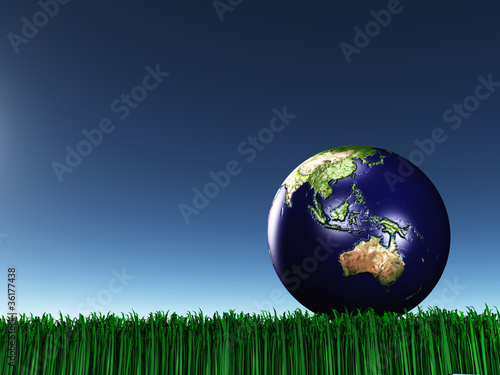 Australasia on grass