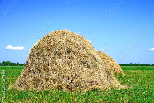 Fototapeta Haystacks