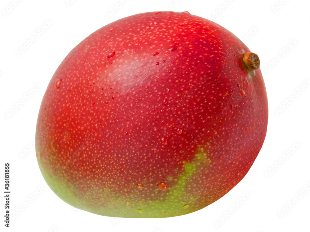 Mango isolated on white background Mango isolated on white background