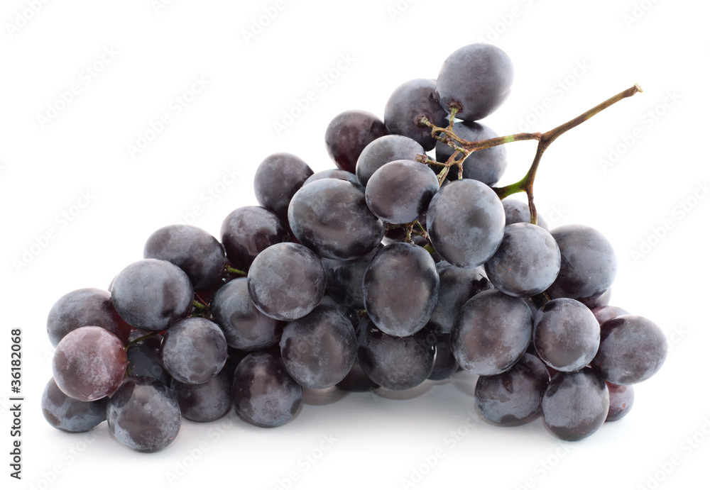 bunch of grapes. isolated on white bunch of grapes. isolated on white