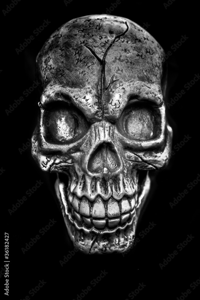 Skull Skull