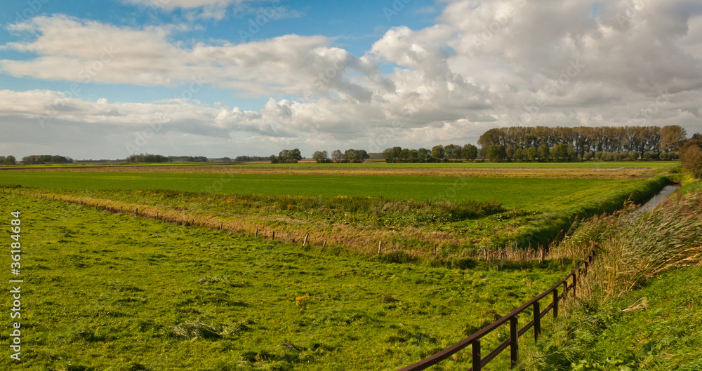 Dutch landscape with colorful fields
