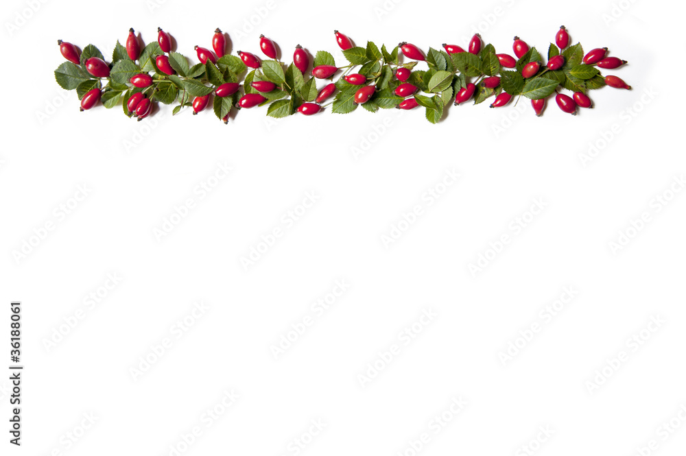 Fototapeta premium Hagebutten Girlande