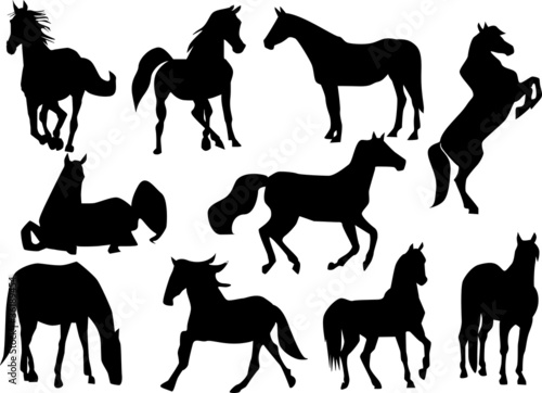 Horse silhouettes collection