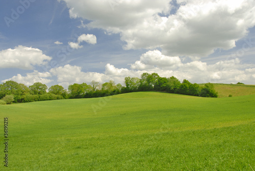 Landschaft im Frühling 019