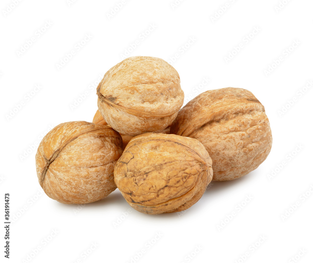 walnut group isolated walnut group isolated