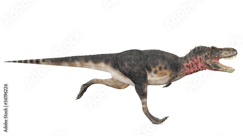 tarbosaurus runing side view © DM7