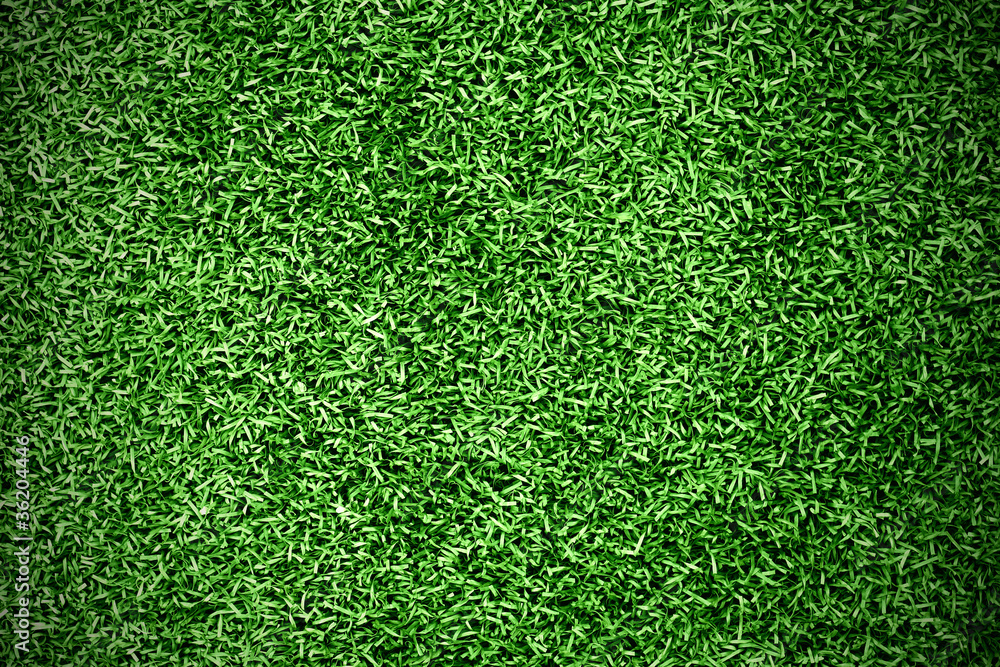 turf grass background