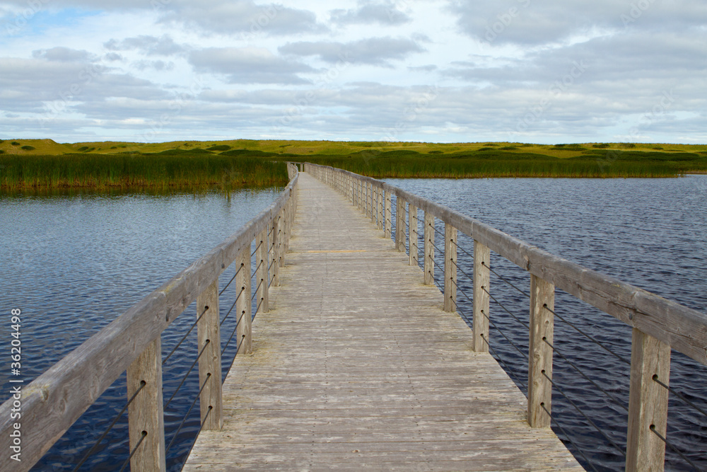 Obraz premium Boardwalk to the Dunes