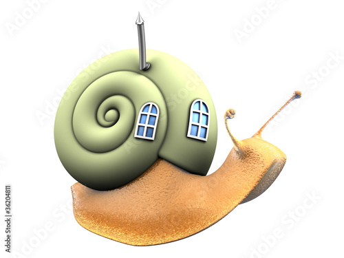 snail with home