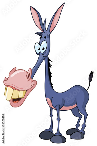 Donkey