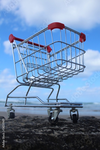 Retail cart near the sea photo