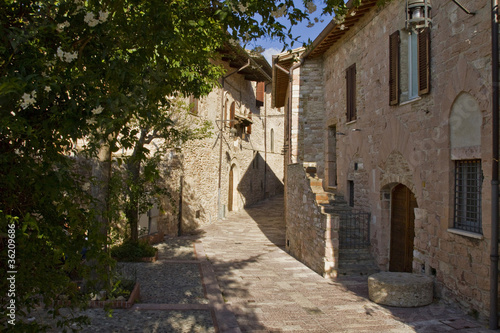 Wallpaper Mural Assisi Torontodigital.ca