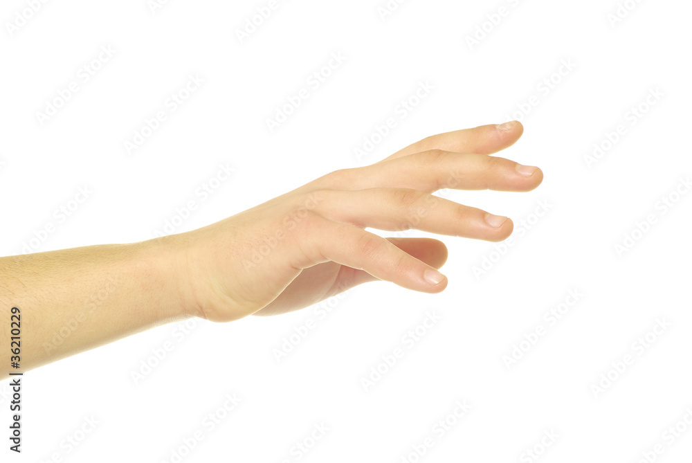 hand hand