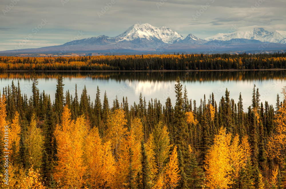 Fototapeta premium View to mount Wrangell and Zanetti