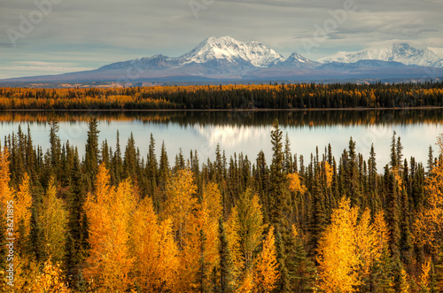 View to mount Wrangell and Zanetti