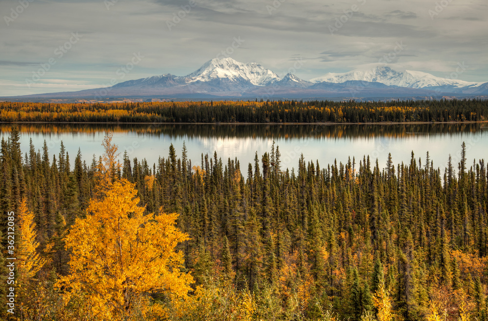 View to mount Wrangell and Zanetti View to mount Wrangell and Zanetti