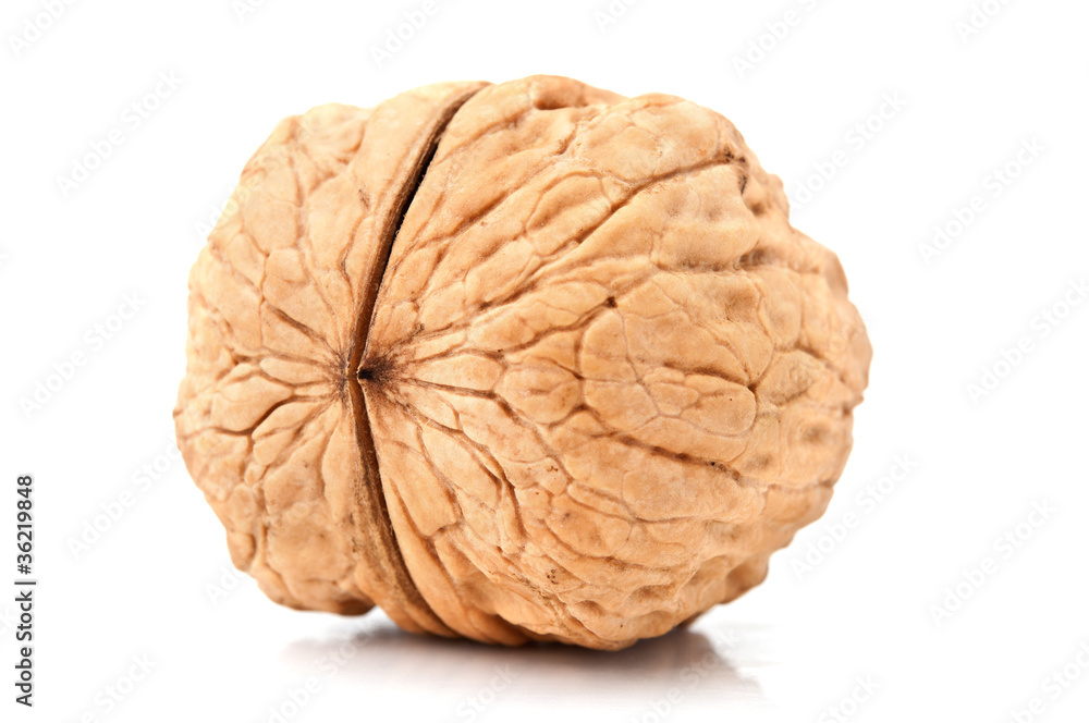 one walnut one walnut