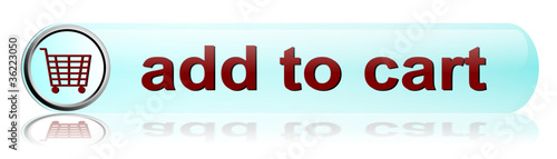 Add to cart button