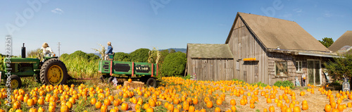 Pumpkin Patch Farm House with Halloween Decoration